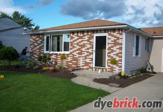 Dyebrick - Half Tinted